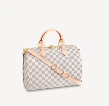 Louis Vuitton Speedy Bag Review - Is the Speedy Still in Style